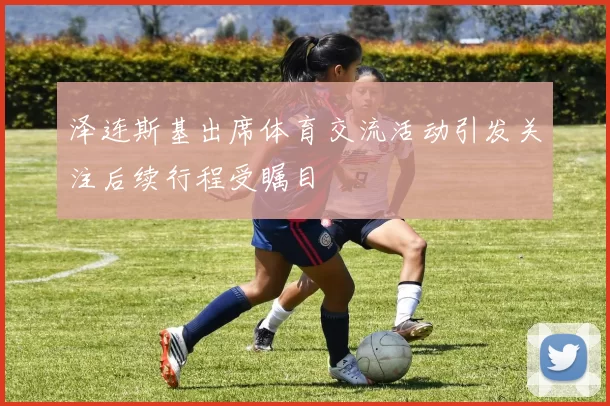 泽连斯基出席体育交流活动引发关注后续行程受瞩目